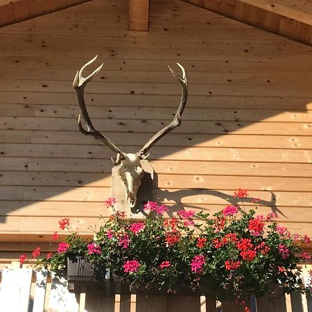 Alpenlodge Kirchbach Kirchbach  Esterno foto