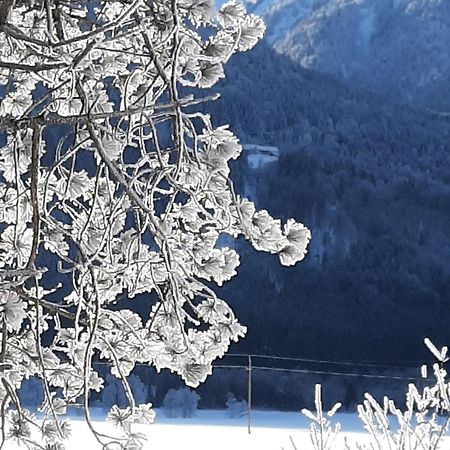 Alpenlodge Kirchbach Kirchbach  Esterno foto