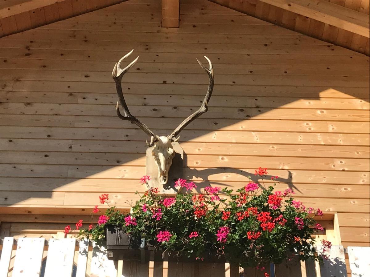 Alpenlodge Kirchbach Kirchbach  Esterno foto