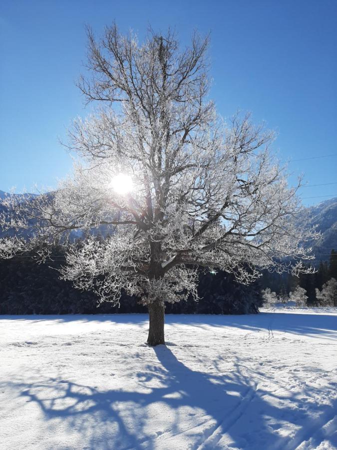Alpenlodge Kirchbach Kirchbach  Esterno foto