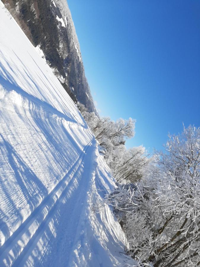 Alpenlodge Kirchbach Kirchbach  Esterno foto