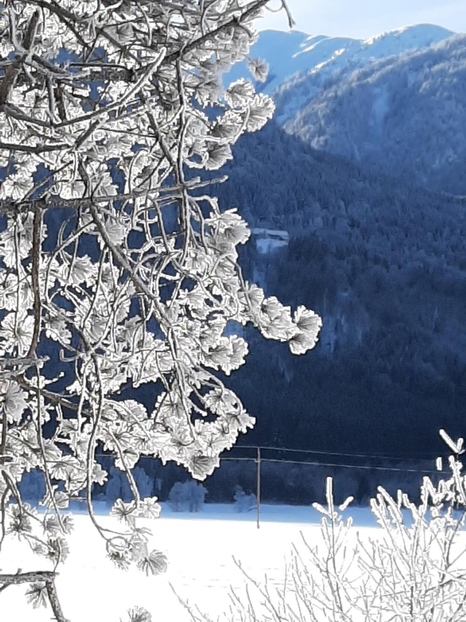 Alpenlodge Kirchbach Kirchbach  Esterno foto