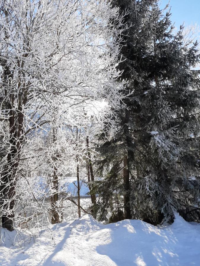 Alpenlodge Kirchbach Kirchbach  Esterno foto